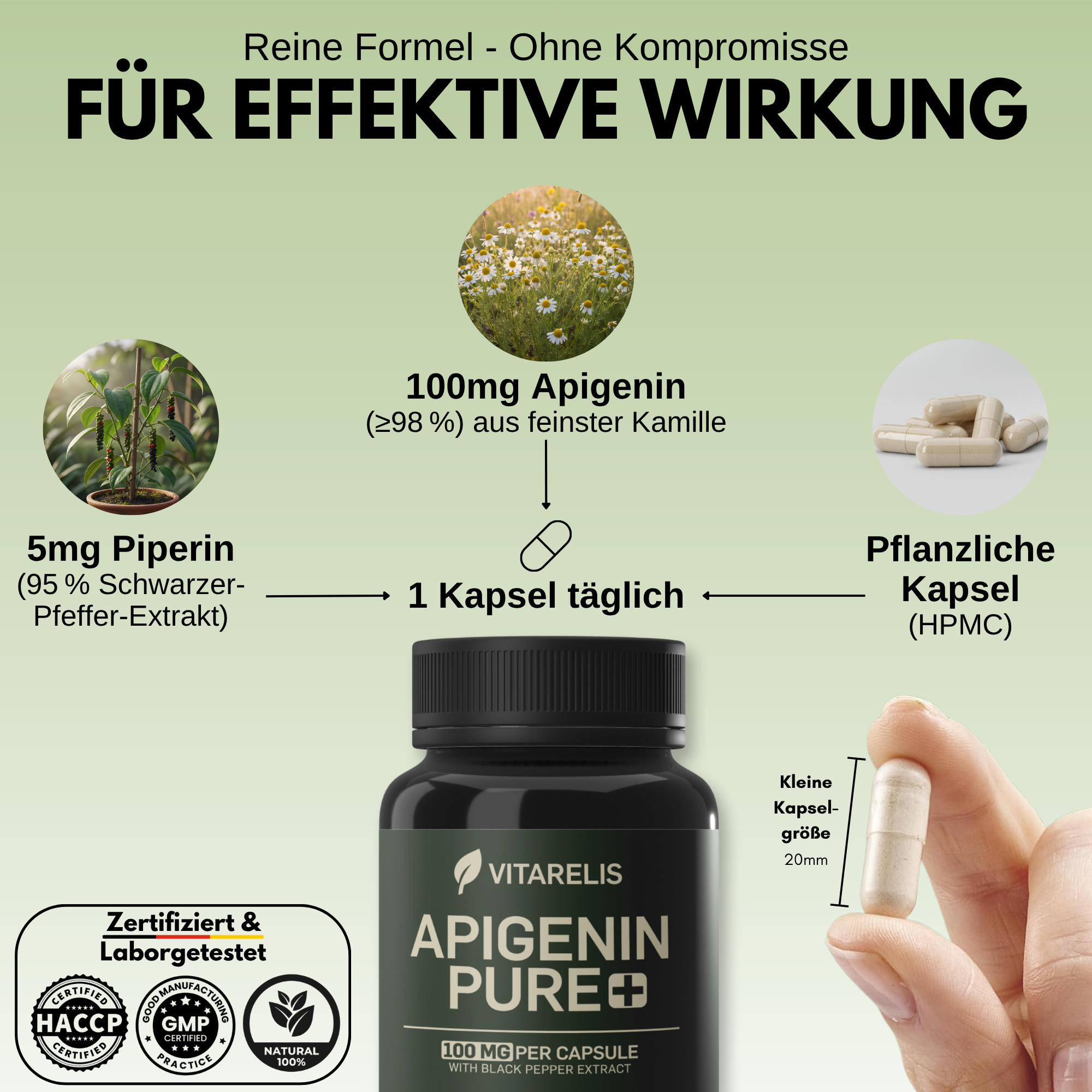 Apigenin Pure+